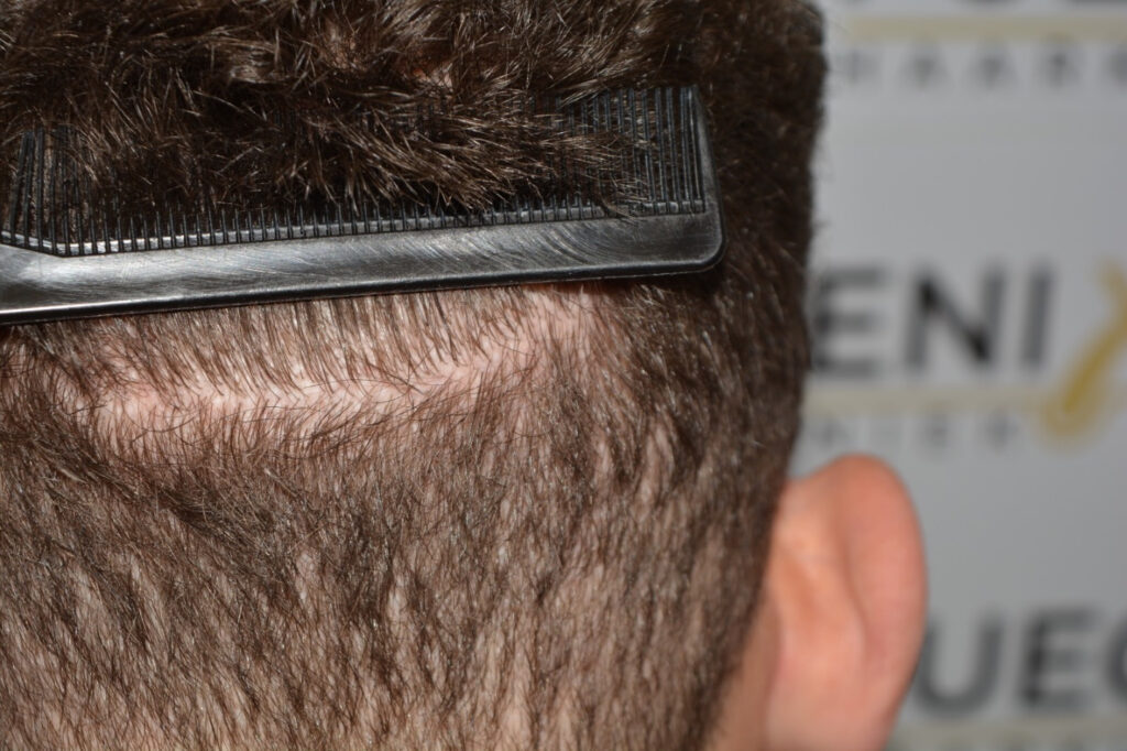 From Einstein To Justin Timberlake
